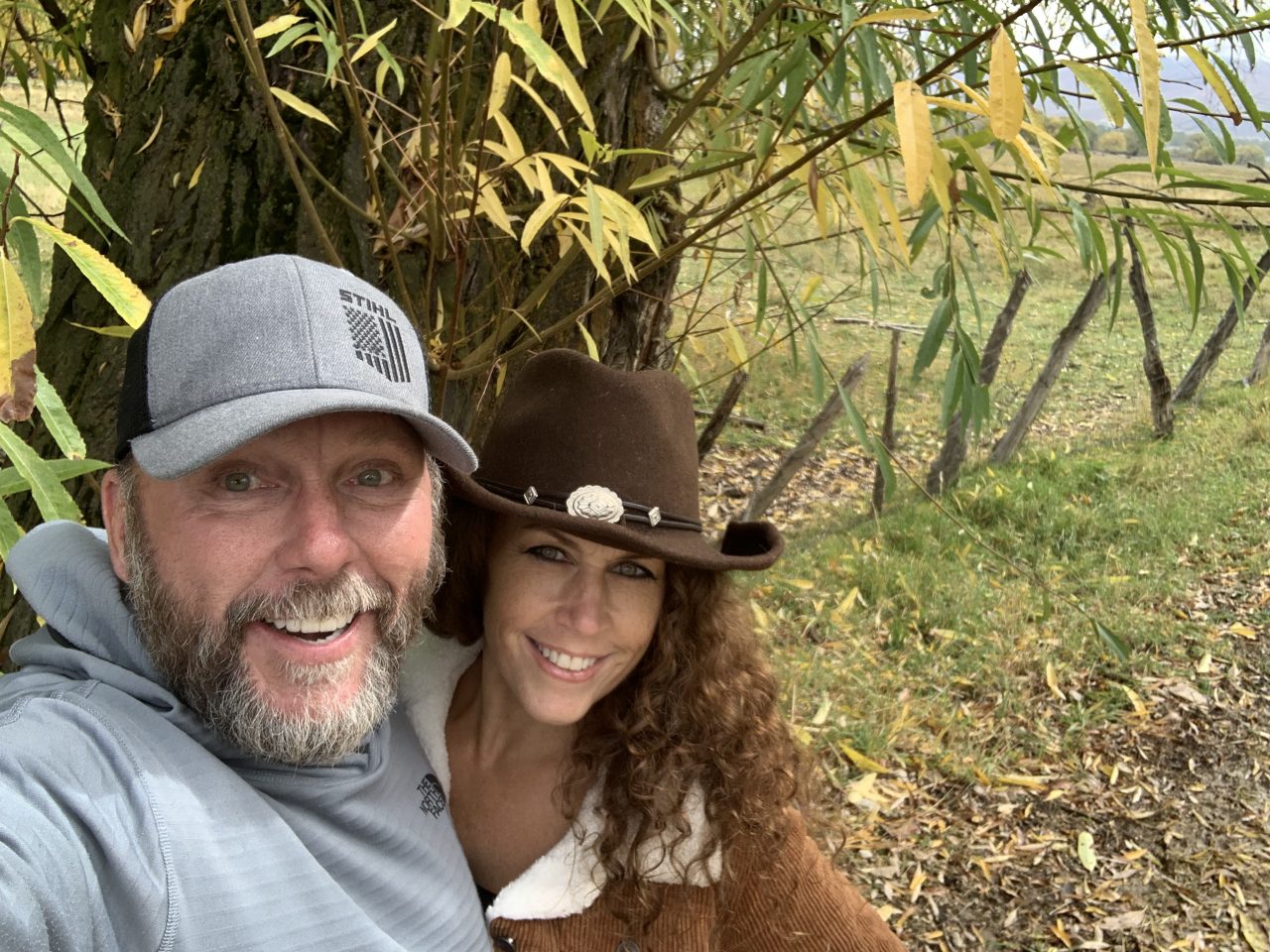 About The Online Arborist